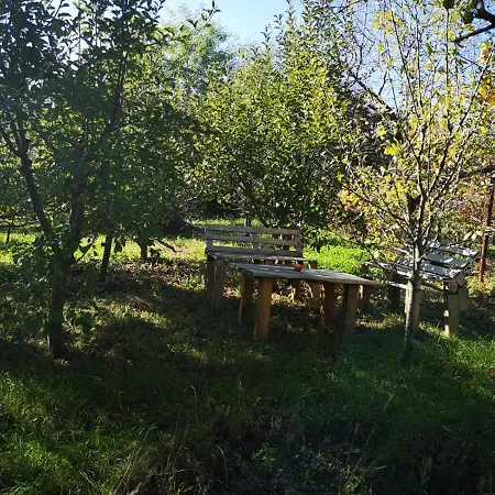 Casa Babu Guest house Slavitesti