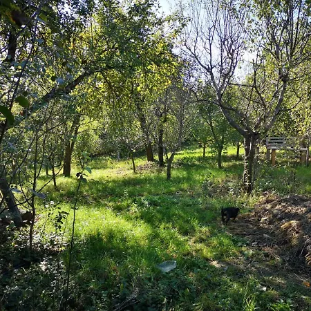 Guest house Casa Babu Slavitesti